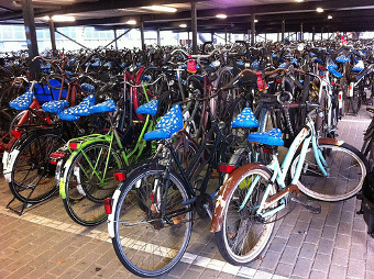 bicicletas en  Rotterdam
